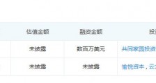 帮帮抢,能靠9.9拼团抢过拼多多?