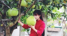 关于“李子柒事件”,普通人应该怎么看