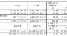 项目周转慢致规模增速放缓 新湖中宝为降债疯狂变卖资产