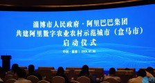 盒马市开建!阿里在淄博打造农产品数字化集运枢纽