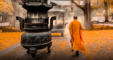 寺庙经济,并不“佛系”