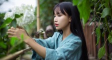 微念公司回应遭李子柒起诉:不曾干涉内容创作,或控制任何相关平台账号