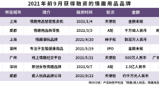 资本热捧情趣用品产业!十年吸金超53亿,今年7个品牌已获融资