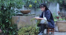 停更三个月后,李子柒决定状告“老东家”