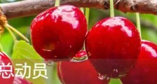 重磅!四川天府新区公开招聘编外聘用人员