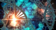 基因治疗药物研发商嘉因生物完成数千万美元B++轮融资,由高瓴资本领投
