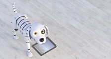 万物皆可AI,狗狗也不例外
