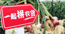 农产品上行助力中国脱贫攻坚战,中国电商平台让海外学者另眼相看