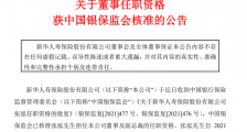 新华保险2020年增收减利 增员不增质 张泓获批成副总裁