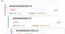 也玩分拆,绿地数科能否打破金融科技上市魔咒?