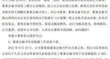嘉应制药董秘徐胜利被解聘:此前被爆出遭到董事黄利兵“追打”