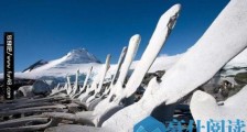 最荒凉地区南极洲:面积相当于1.5个中国却无1人定居 最低气温