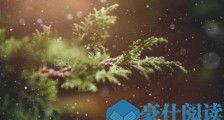 年底了,正在创业的人过得怎么样?