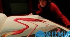 世界上最贵的图书《美国鸟类》价值730万元英镑