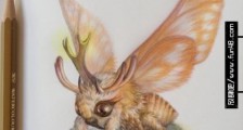 幺蛾子是什么意思?幺蛾子还是妖蛾子