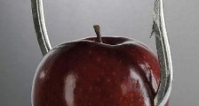 禁果是什么意思?禁果是什么水果?禁果效应是什么意思?