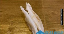 王思聪晒高档日料怎么回事?王思聪为什么晒高档日料 王思聪近况曝光