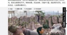 韩寒认养两头河马怎么回事?韩寒为什么认养两头河马原因曝光