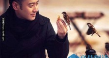 朱亚文吴秀波怎么了 朱亚文吴秀波因为这件事竟然成仇人