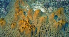 世界上最长的海底山脉 中洋脊总长8万千米