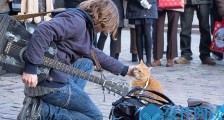 流浪猫鲍勃去世原因是什么 流浪猫鲍勃是怎么红的