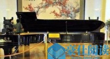 世界上最大的钢琴,长达15英寸的大钢琴是中国制造