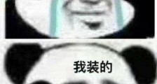 我哭了我装的是什么梗啥意思 我哭了我装的表情包