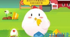 不小心被热油烫到起了水疱正确的处理方式是?蚂蚁庄园11月26日答案