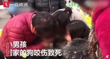 儿童被狗咬伤致死后续 狗主人被刑拘:儿童被狗咬伤事件始末 狗主人郭某平已被刑拘