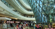 海南离岛免税购物“变局”:适度竞争 电商入局