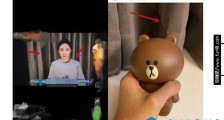 杨幂魏大勋被传同居是真的假的?杨幂魏大勋在一起了吗