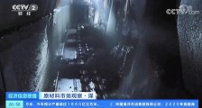 价格暴涨近50%!产多少卖多少!它为何如此火爆?