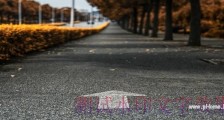 那条名叫知春的路:16位创业者灰色创业故事