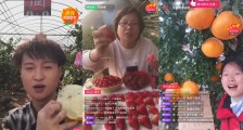 老乡“春播”忙:上万个蔬菜大棚变成淘宝直播间