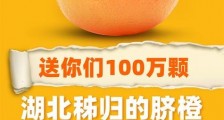 秭归县长拿出100万颗橙子,答谢福建“逆行者”和淘宝上的吃货