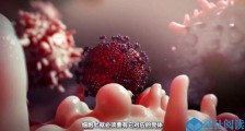 还没复工,这个账号已经利用一个科普视频涨粉300多万