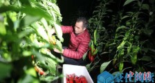 点赞!山东省捐赠首批350余吨新鲜蔬菜启运驰援武汉