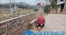 2岁女童因狂犬病离世 曾被野狗扑倒但没伤痕