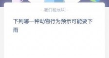 蚂蚁庄园课堂今日答案:下列哪一种动物行为预示可能要下雨?支付宝小鸡宝宝考考你答案