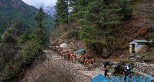 数百登山者被困喜马拉雅山!尼泊尔为防新冠疫情全国封锁