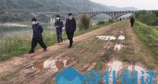 重庆巴南桃花岛有老虎? 专家赴现场一探究竟