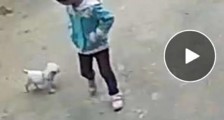 12岁男孩杀害10岁女童 警方回应性侵碎尸等传闻