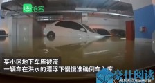 车库被淹洪水完美倒车入库 网友：洪水的车技都比你好
