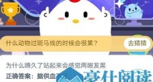 为什么我们国家的标准视力表要用E？小鸡宝宝考考你 为什么蹲久了站起来会感觉两眼发黑？支付宝蚂蚁庄园小课堂今日答案