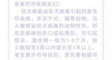 狂犬疫苗“一针难求”有市民跨省追针,到底因为啥?