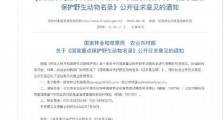 长江江豚拟升为国家一级保护动物 国家重点保护野生动物名录征求意见稿内容一览
