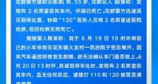 广州两名男童在车内身亡 警方:自行进入车内高温致死