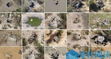 非洲350头大象接连离奇死亡 原因未知 当地目击者称大象死前绕圈走
