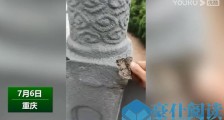 交通局回应桥梁护栏一捏就散 大桥尚未验收 已成立调查组核查