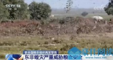 2020蝗虫来中国了吗?联合国发蝗灾警告:蝗虫怕鸡鸭?东非蝗灾严重威胁粮食安全具体怎么回事?